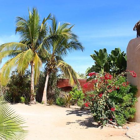 Hotel Flora Del Mar Todos Santos Exteriér fotografie
